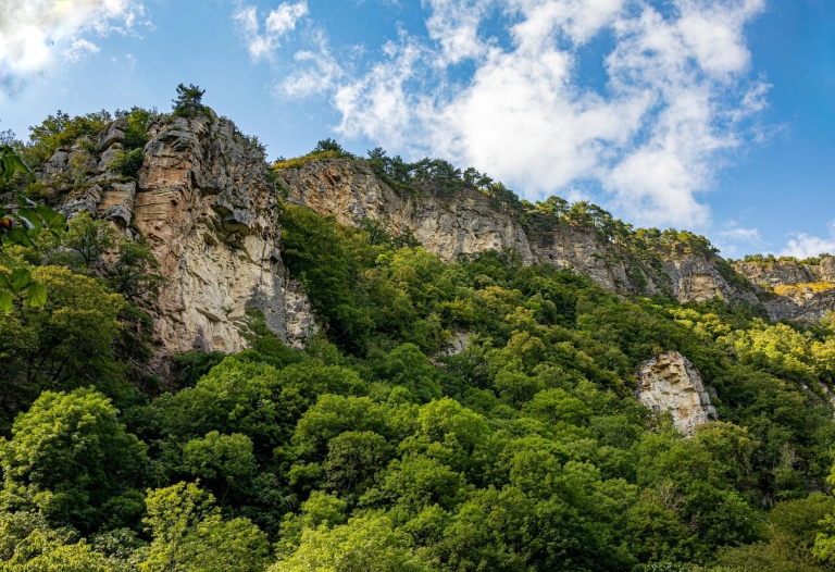 rhodopes